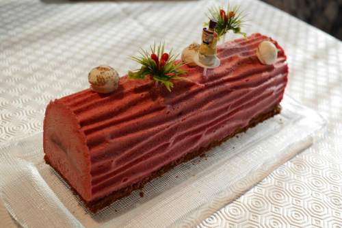 Bûche framboise chocolat - votre dieteticienne - valerie coureau